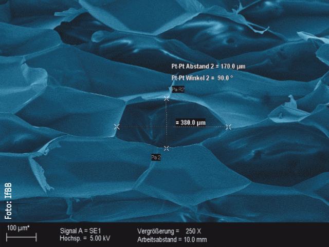 Rasterelektronenmikroskopaufnahme von Schaumstrukturen