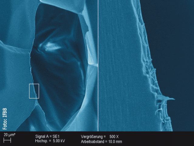Rasterelektronenmikroskopaufnahme von Schaumstrukturen