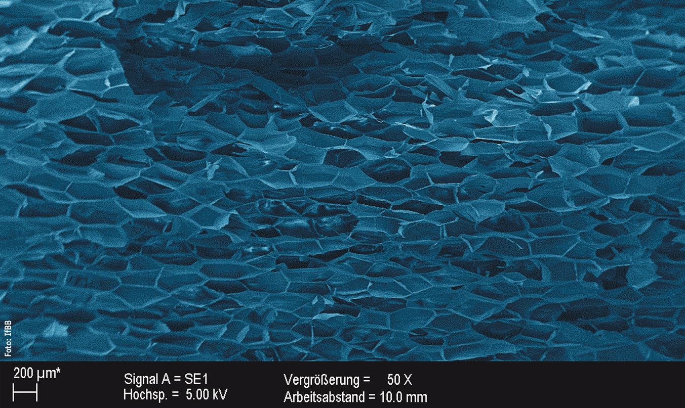 Rasterelektronenmikroskopaufnahme von Schaumstrukturen