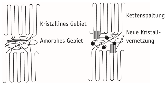 Wirkung von Strahlenvernetzung auf die Morphologie eines nicht bestrahlten und eines bestrahlten teilkristallinen Polymers